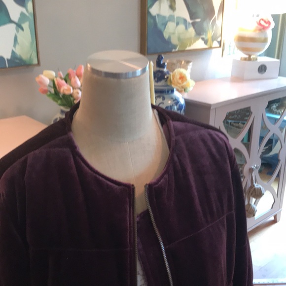 Who What Wear Small Purple Velvet Quilted Zip Up Long Bomber Jacket Coat in EUC - Picture 13 of 14